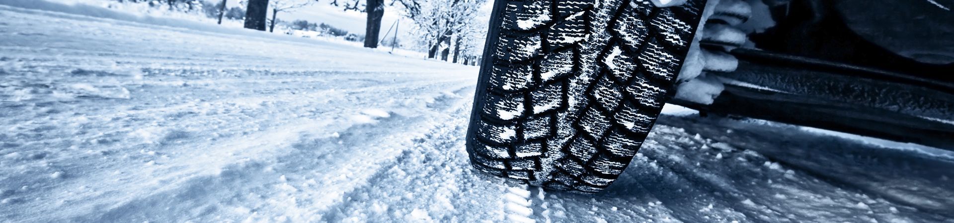 Как правильно выбирать зимние шины для своего автомобиля